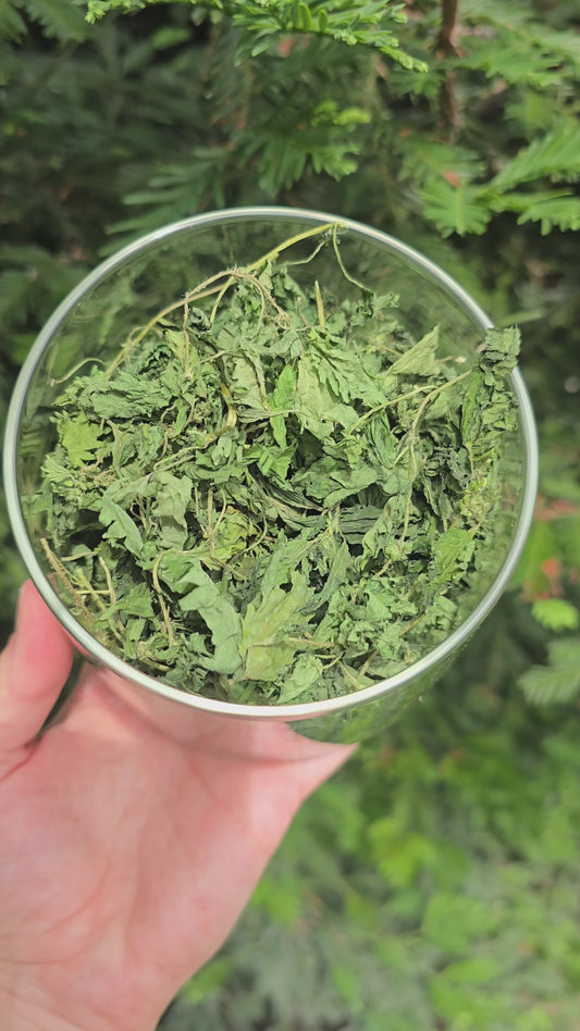 Homegrown Nettle Leaf