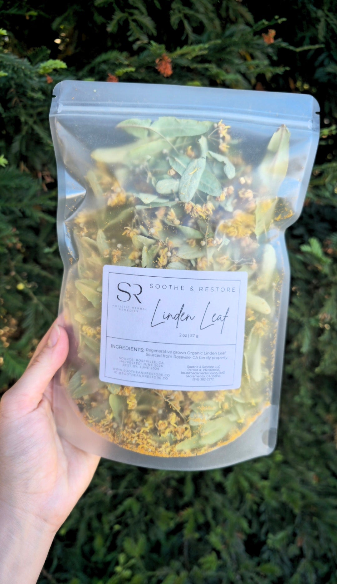 Homegrown Linden Leaf & Flowers