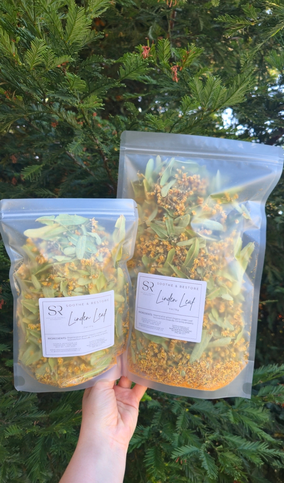 Homegrown Linden Leaf & Flowers