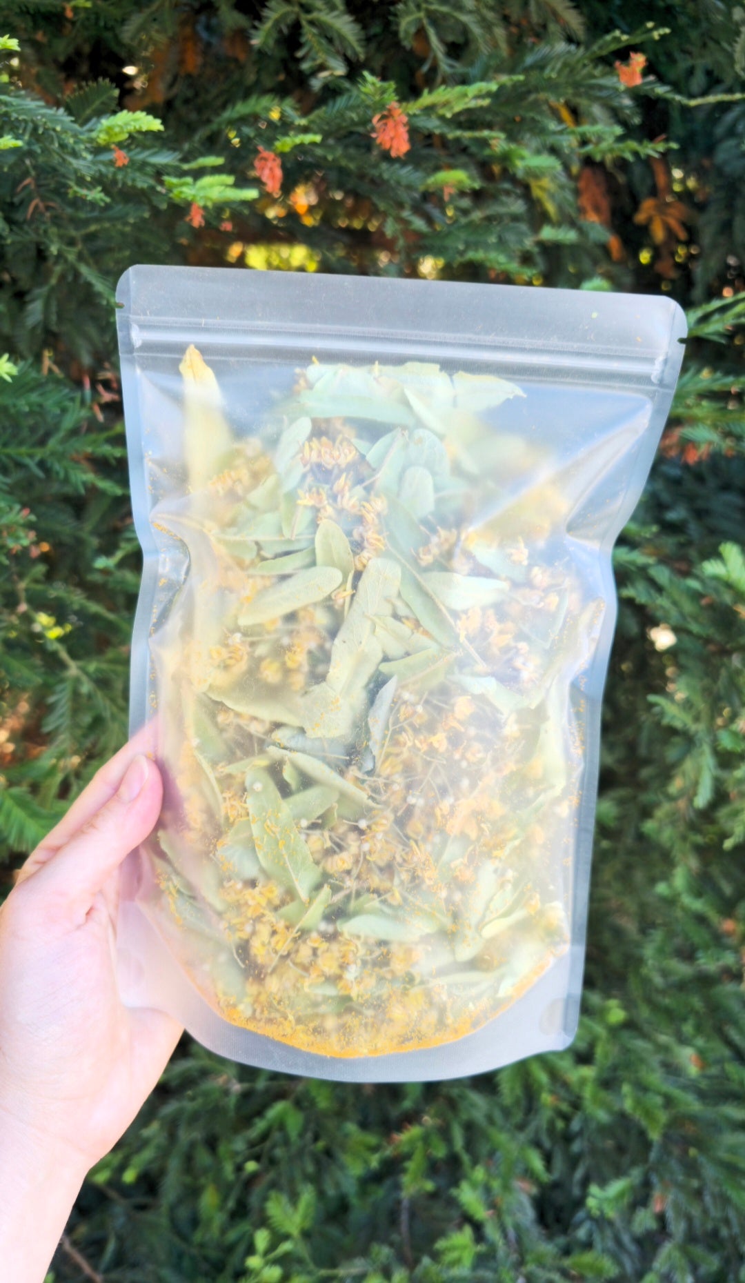 Homegrown Linden Leaf & Flowers