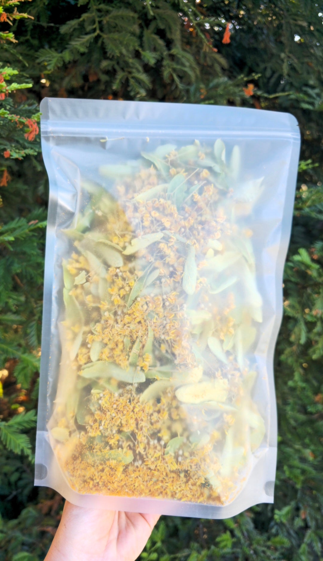 Homegrown Linden Leaf & Flowers